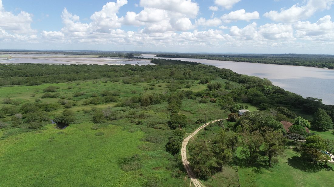 Estudo de viabilidade ambiental — campo